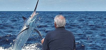 Deep Sea Fishing