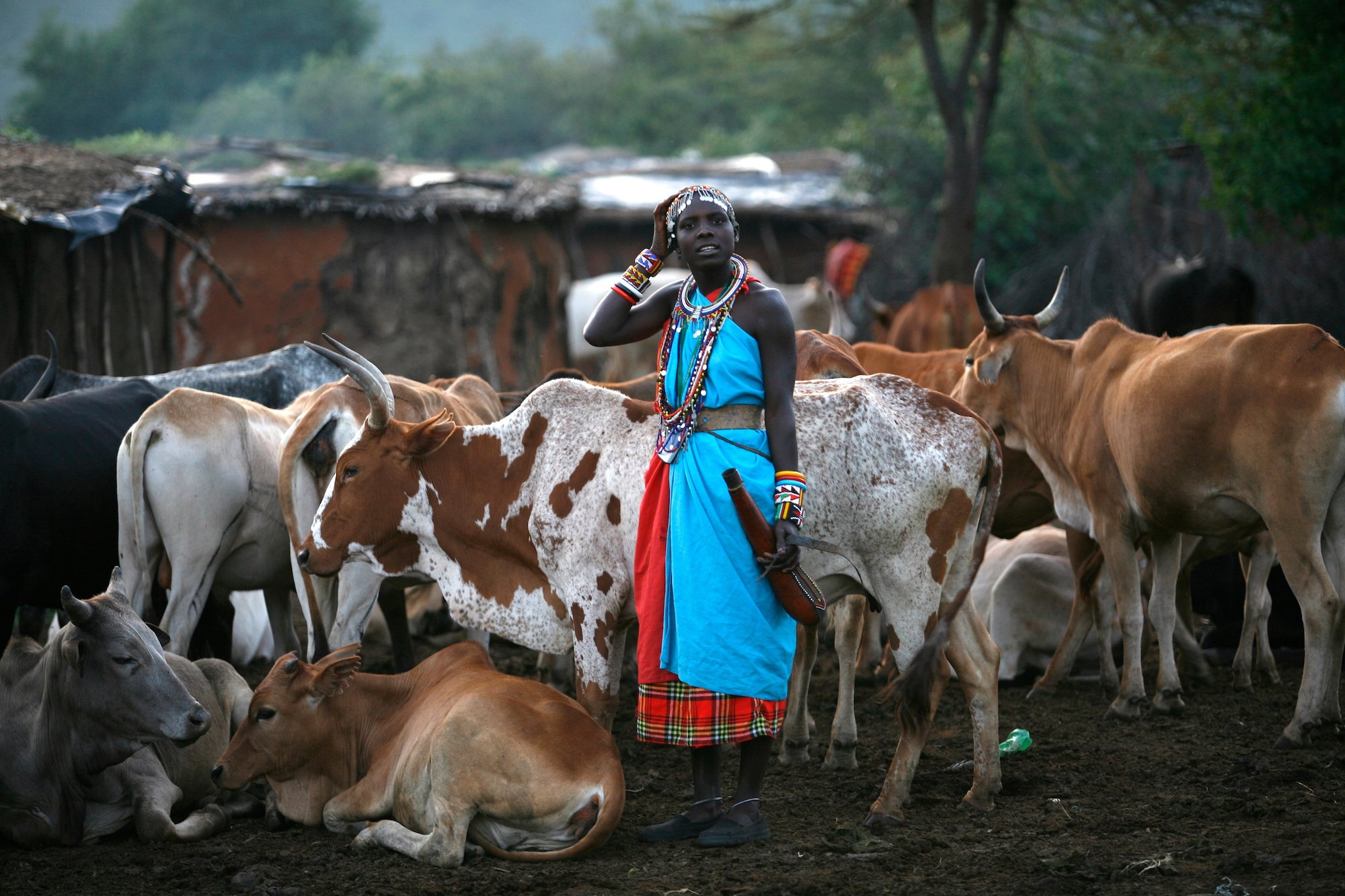 Maasai Pastoral Lifestyle
